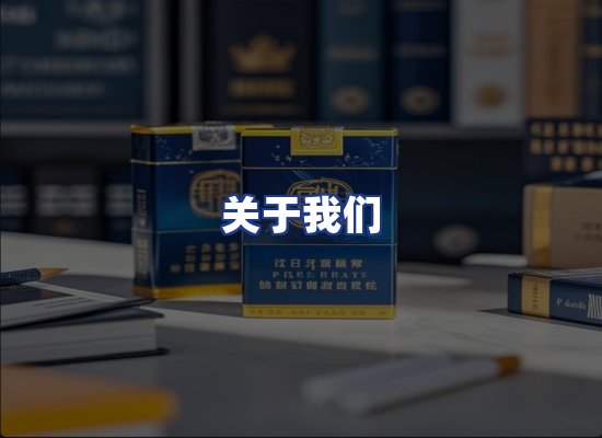 专业团队